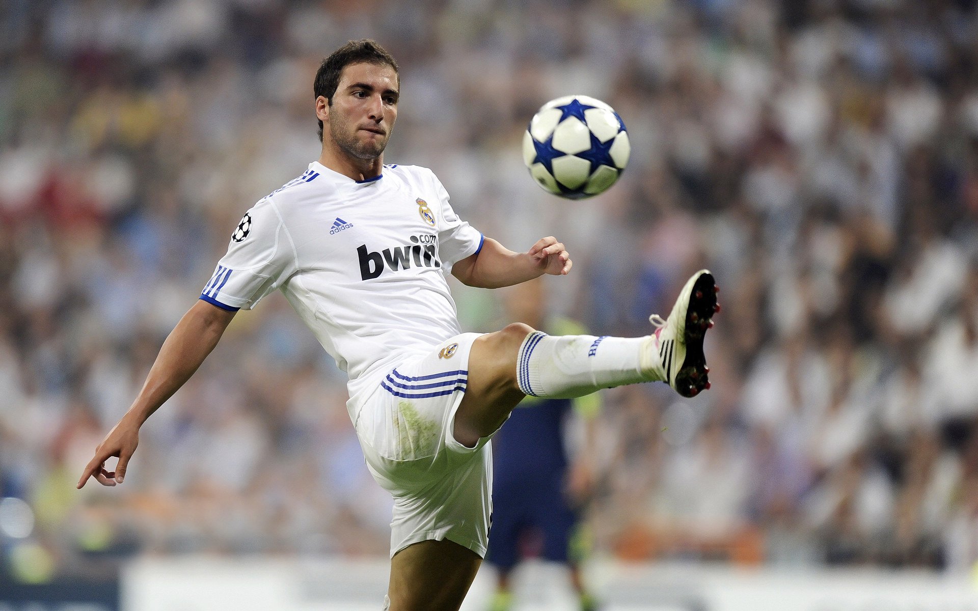 爱游戏官网-马丁内利，当墨西哥阳光照进希腊神话的裂缝